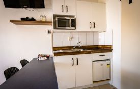 King Pet-Friendly Suite