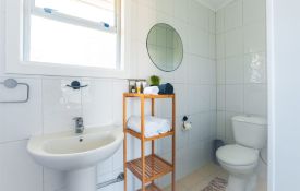 King Pet-Friendly Suite